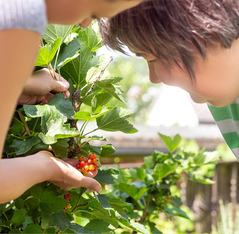 Residents gardening