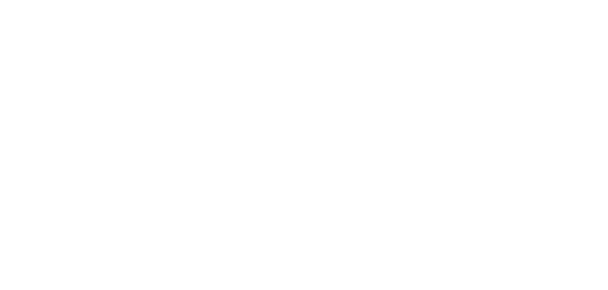BILD Logo